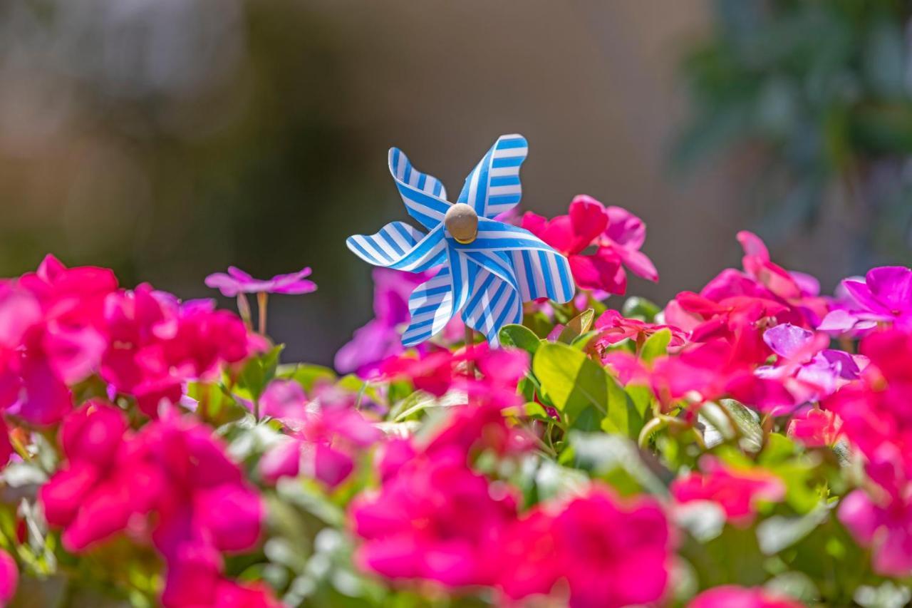 Casa Di Gianna Villa Faliraki Bagian luar foto